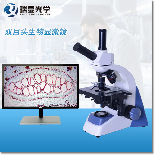 高校招标科研高清双目生物显微镜 RX-800V