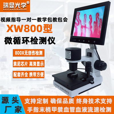 微循环检测仪 XW880型甲襞血管血液流速观察仪高清微循环显微镜
