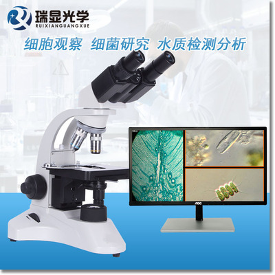 实验科研教学双目生物显微镜 RX-PH50