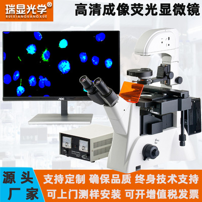 高清医学倒置荧光生物显微镜看培养皿活细胞染色体组织流质科研级