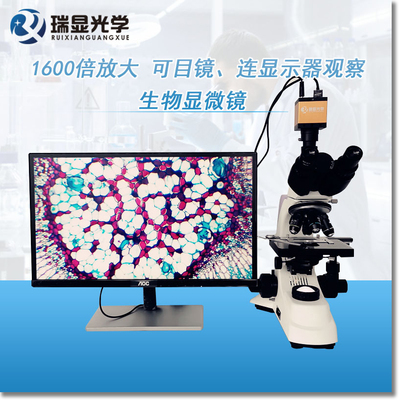高清三目生物显微镜 RX-500T